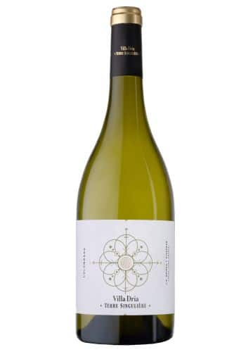 Terre Singulière Colombard