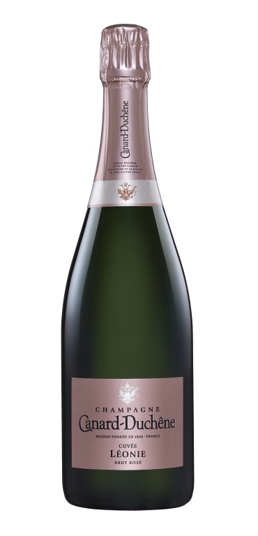 LEONIE BRUT ROSE